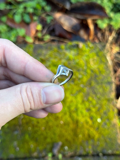Hand holding Silver ring with a sleek, modern design and a small black gemstone, displayed on vibrant green moss