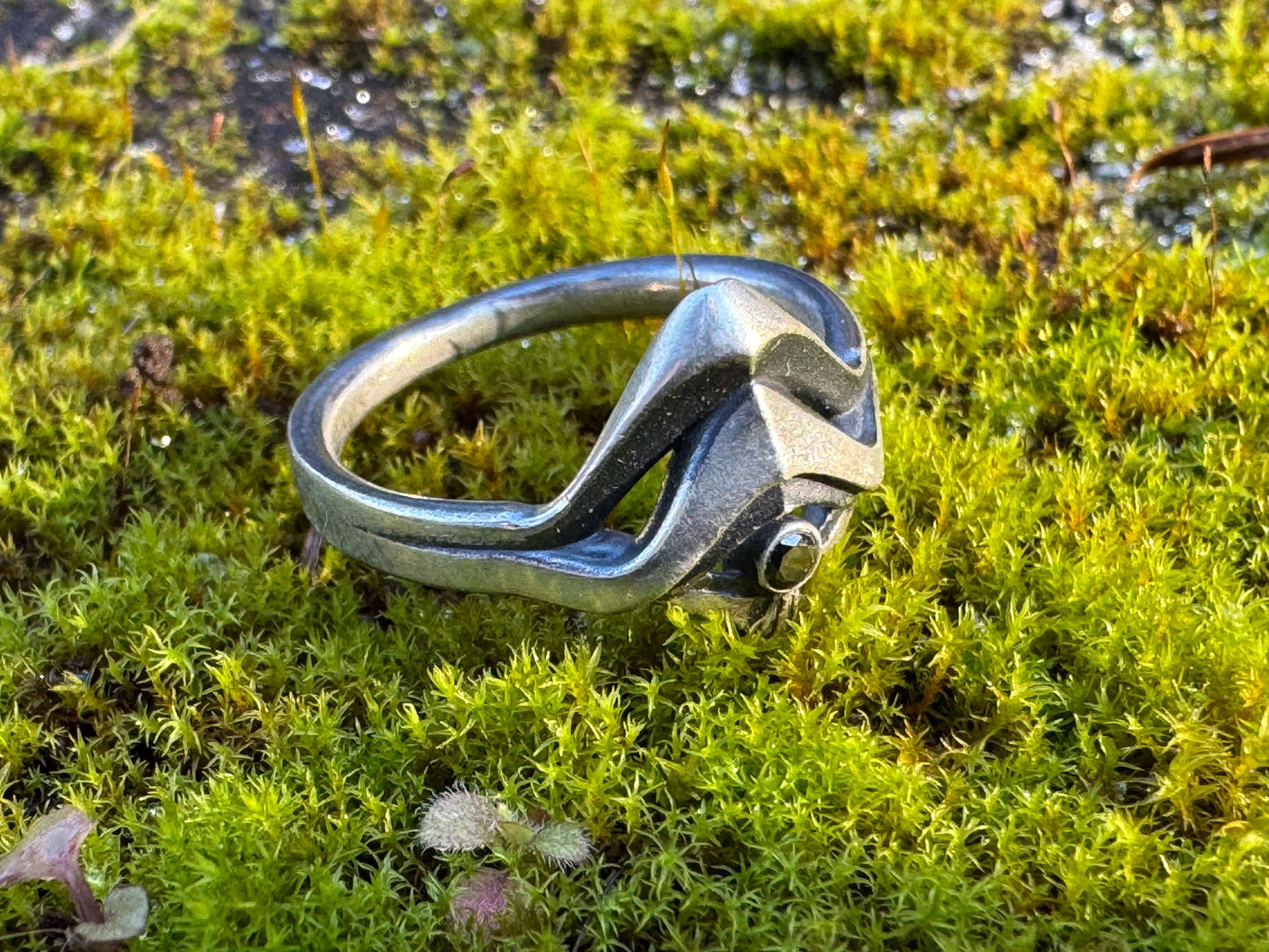 Silver ring with a sleek, modern design and a small black gemstone, displayed on vibrant green moss