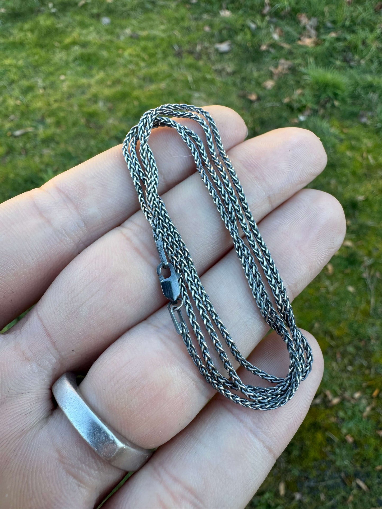 Hand holding a coiled silver chain against a grassy background.