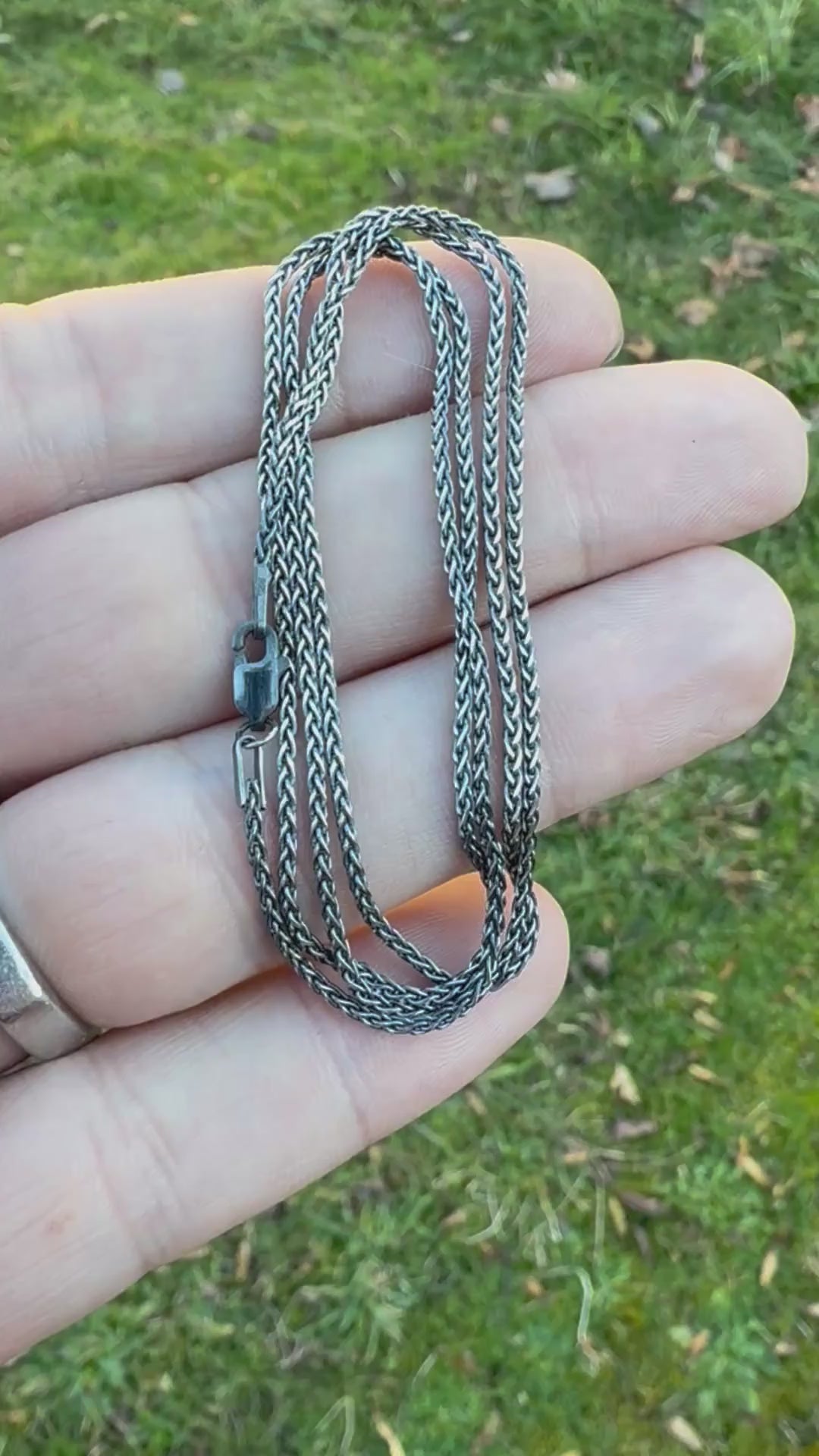 Hand holding a coiled silver chain against a grassy background.